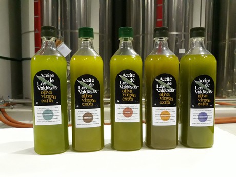 bottles of just made olive oil