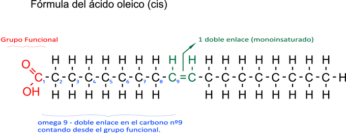 Qué es el ácido oleico? | Las Valdesas