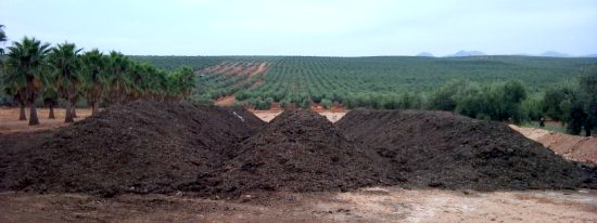 Alperujo compostado