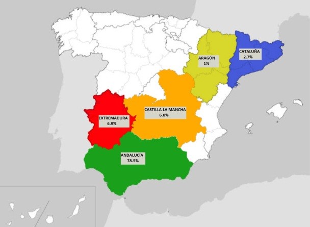Porcentaje producción Aceite oliva virgen y virgen extra por regiones en España 