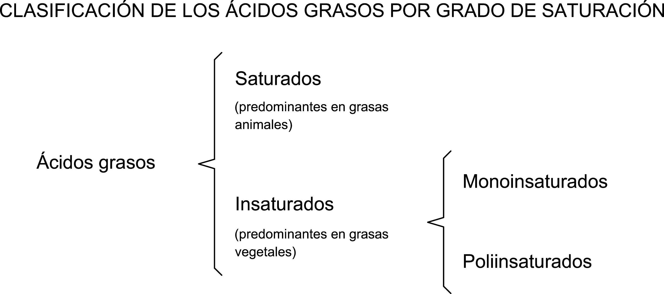 Clasificación de ácidos grasos por grado de saturación