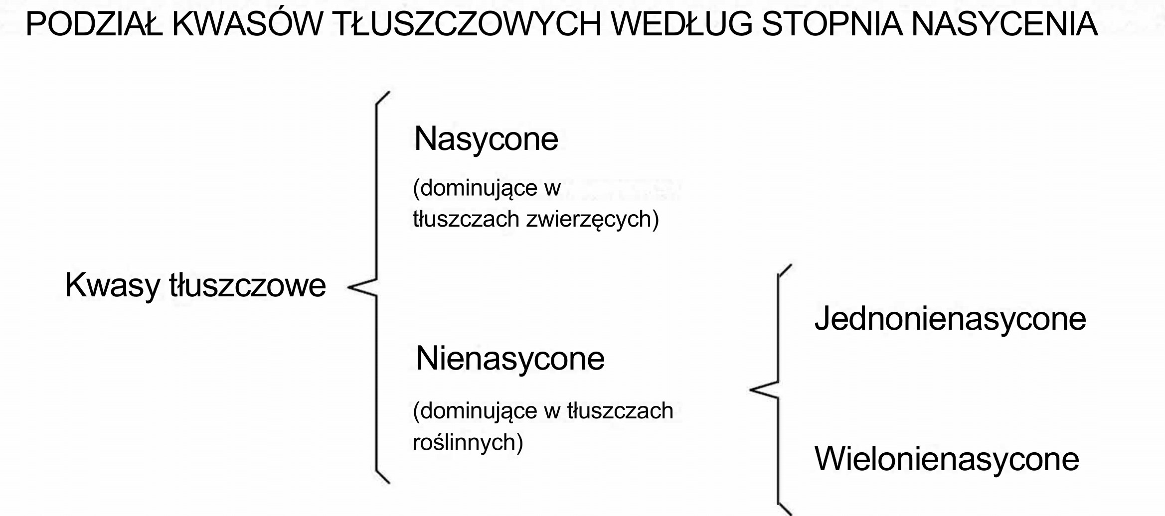 lasyfikacja kwasów tłuszczowych według stopnia nasycenia